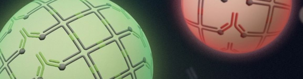 Rappresentazione artistica delle goccioline sferiche ibride di anticorpo/DNA